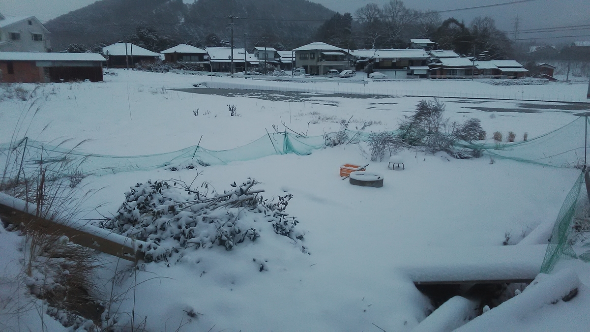 f:id:himitunokobeya:20210110091346j:plain