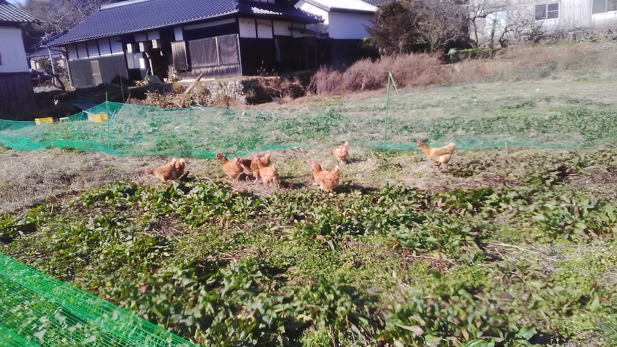 f:id:himitunokobeya:20210120092343j:plain