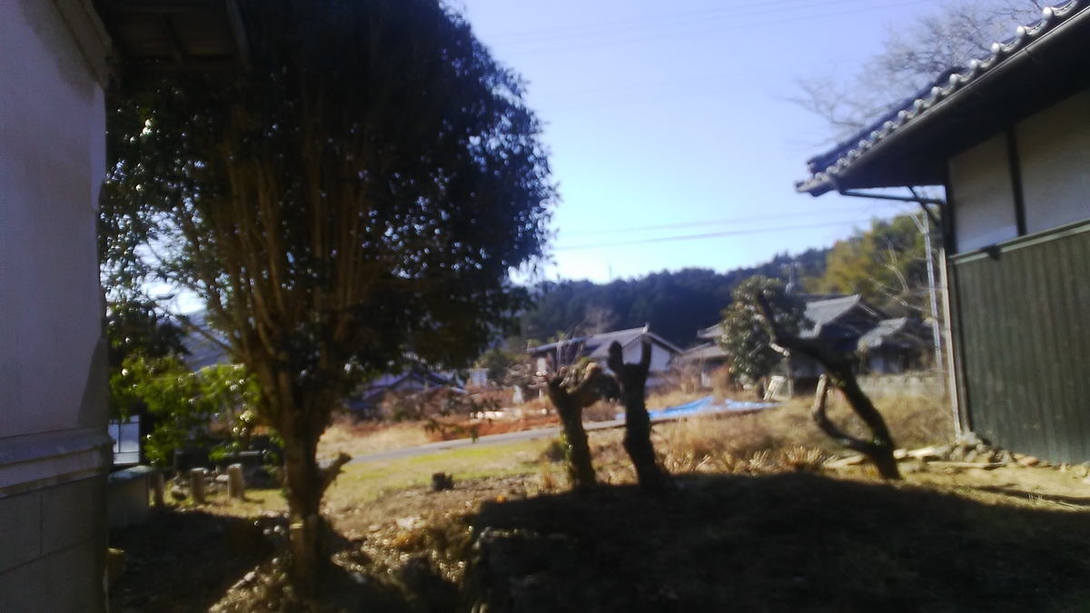 f:id:himitunokobeya:20210121093357j:plain