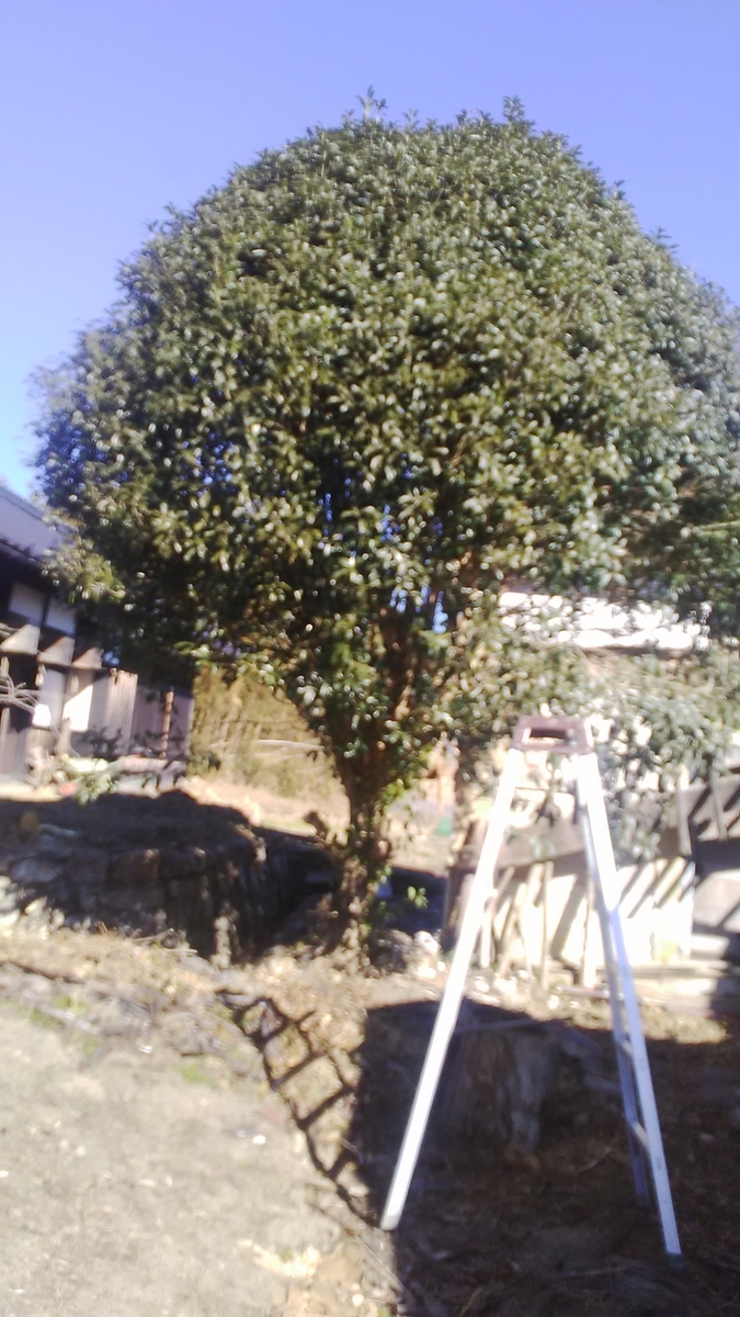 f:id:himitunokobeya:20210121093606j:plain