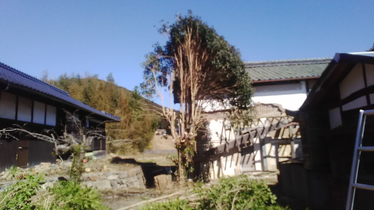 f:id:himitunokobeya:20210121094411j:plain