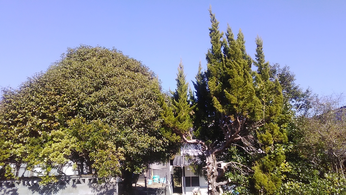 f:id:himitunokobeya:20210121094501j:plain