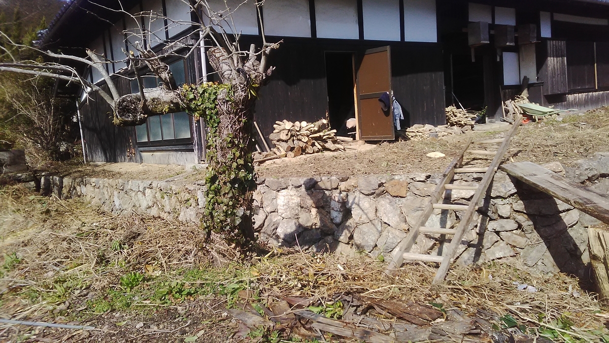 f:id:himitunokobeya:20210126100029j:plain