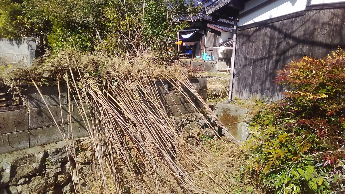 f:id:himitunokobeya:20210128093856j:plain