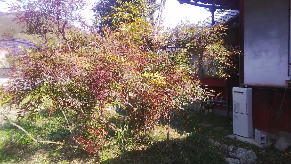 f:id:himitunokobeya:20210206095112j:plain