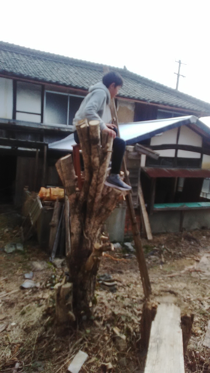 f:id:himitunokobeya:20210208104142j:plain