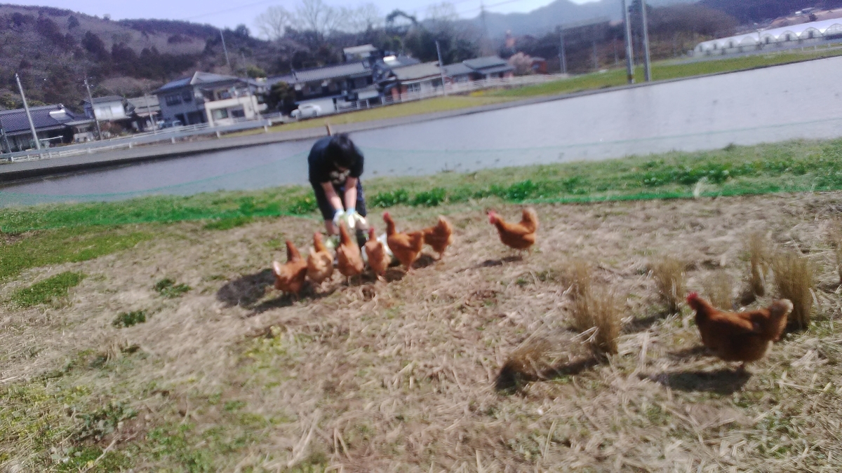 f:id:himitunokobeya:20210228181507j:plain