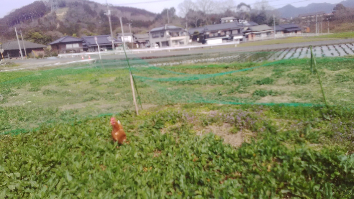 f:id:himitunokobeya:20210311214633j:plain