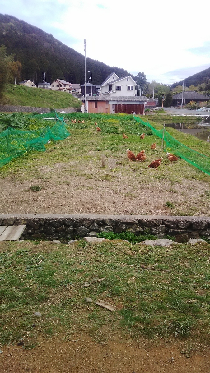 f:id:himitunokobeya:20210407085241j:plain