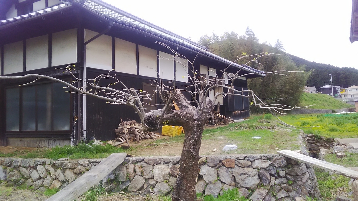 f:id:himitunokobeya:20210407085806j:plain