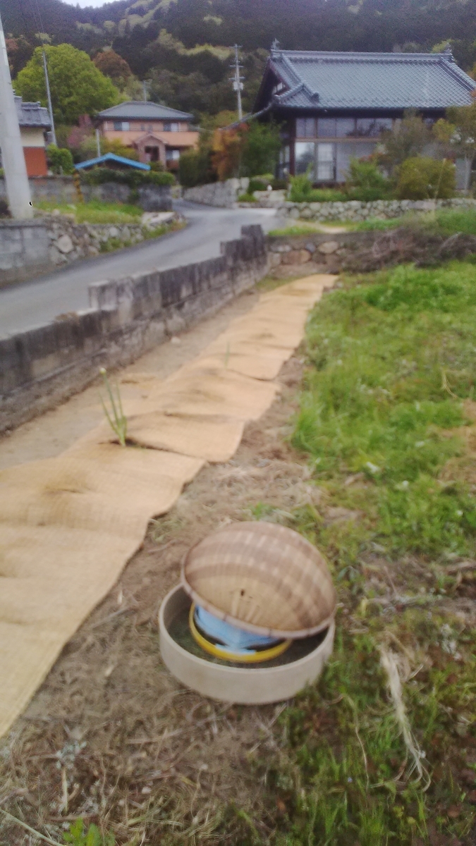 f:id:himitunokobeya:20210413082228j:plain