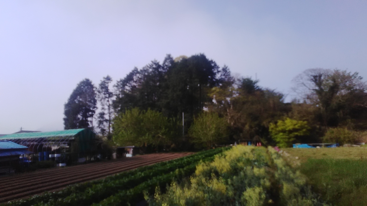 f:id:himitunokobeya:20210420080301j:plain