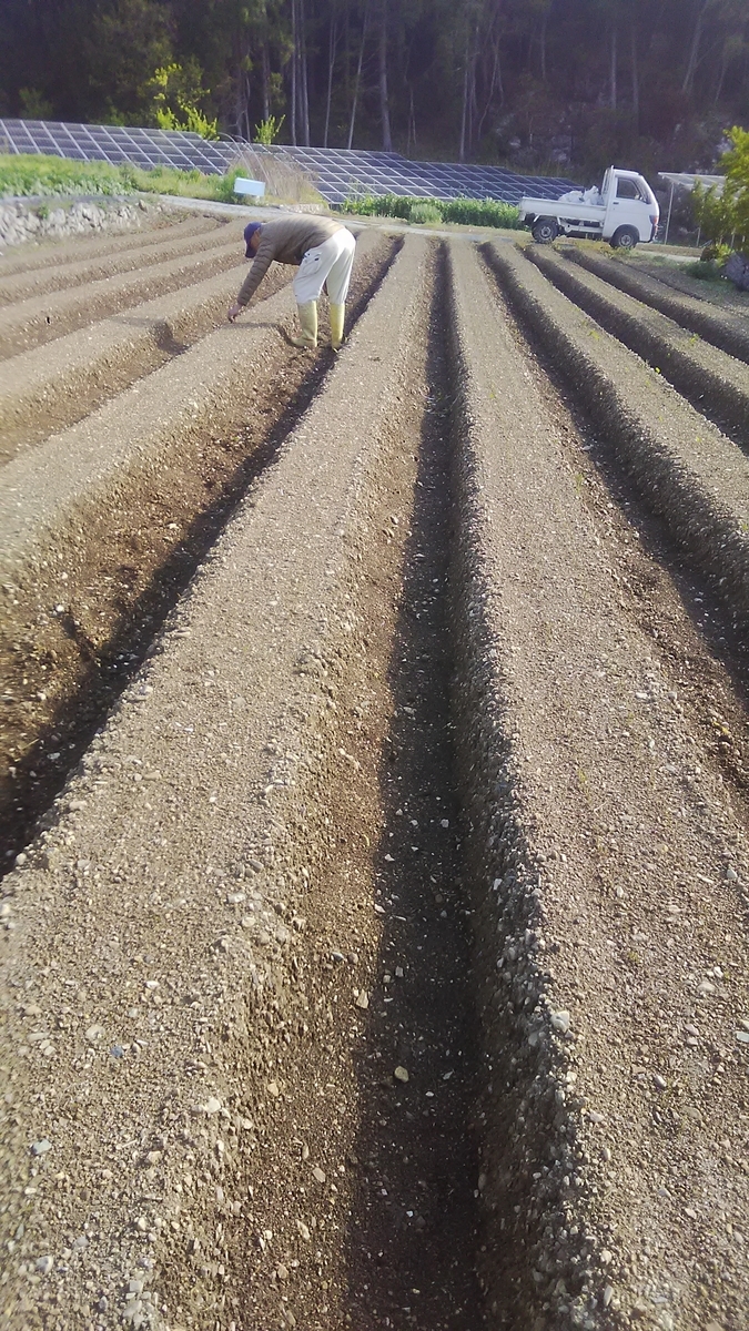 f:id:himitunokobeya:20210420080545j:plain