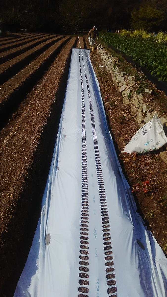 f:id:himitunokobeya:20210420080611j:plain