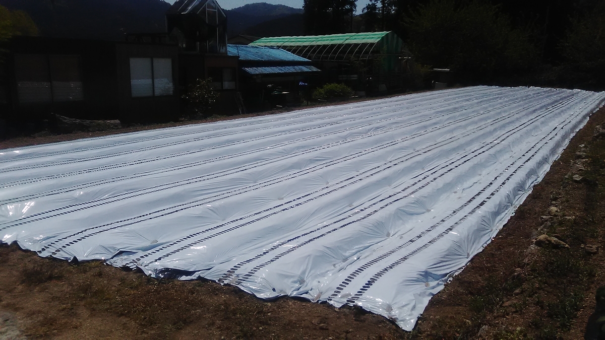 f:id:himitunokobeya:20210420080652j:plain