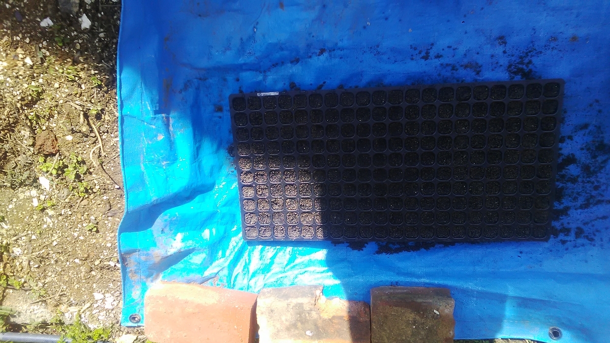 f:id:himitunokobeya:20210421081718j:plain