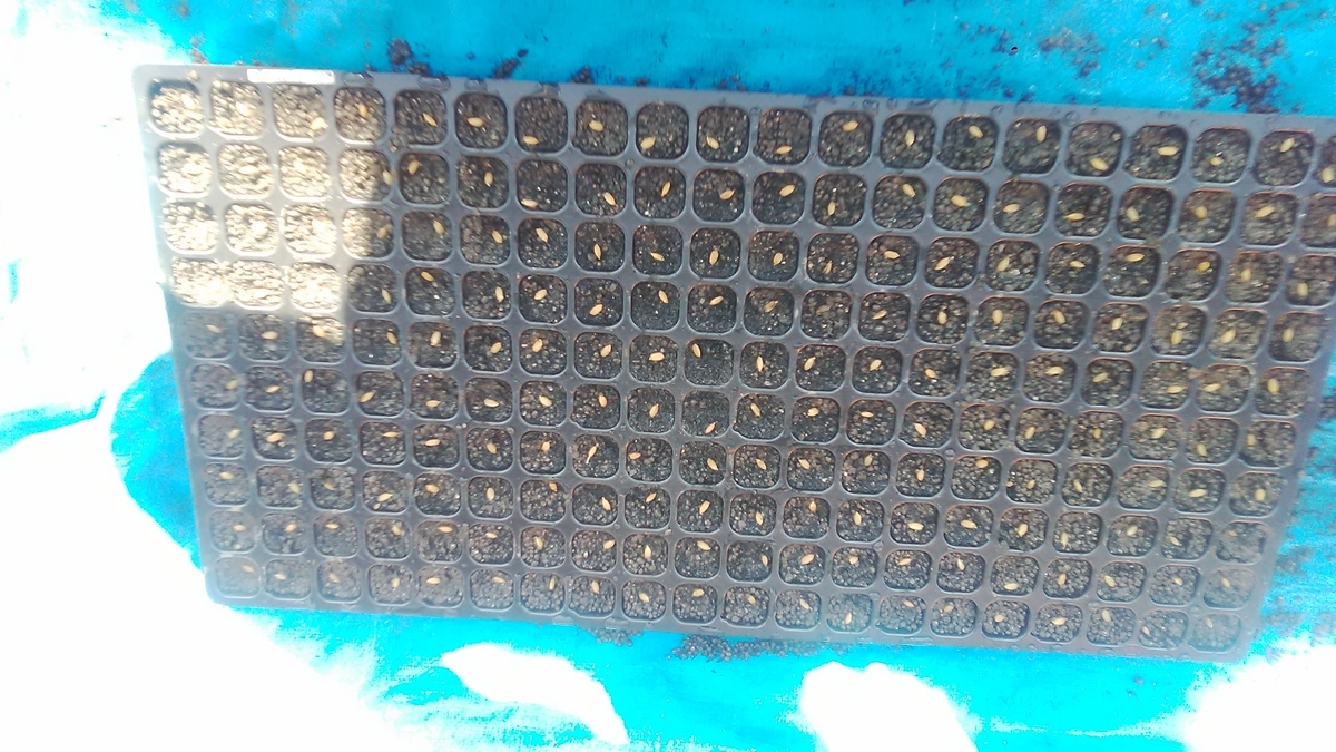 f:id:himitunokobeya:20210421081756j:plain