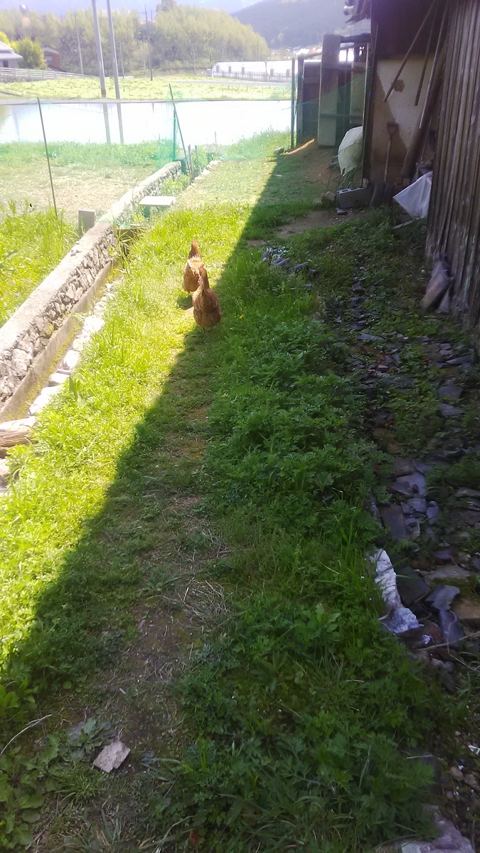 f:id:himitunokobeya:20210421082247j:plain