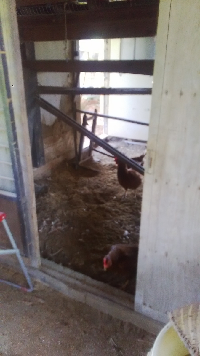 f:id:himitunokobeya:20210421082350j:plain