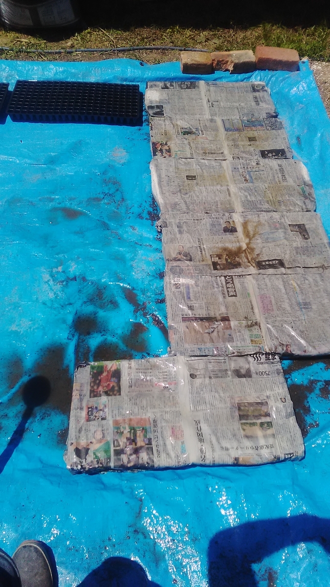 f:id:himitunokobeya:20210421082450j:plain