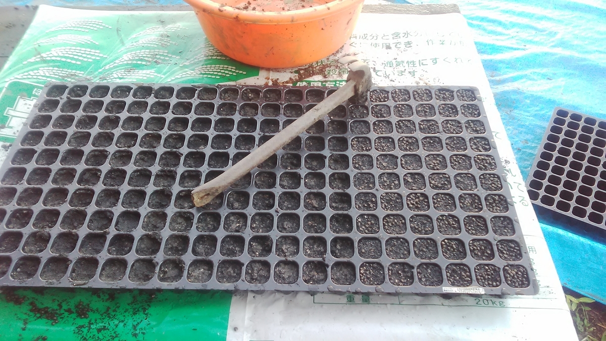 f:id:himitunokobeya:20210421082759j:plain