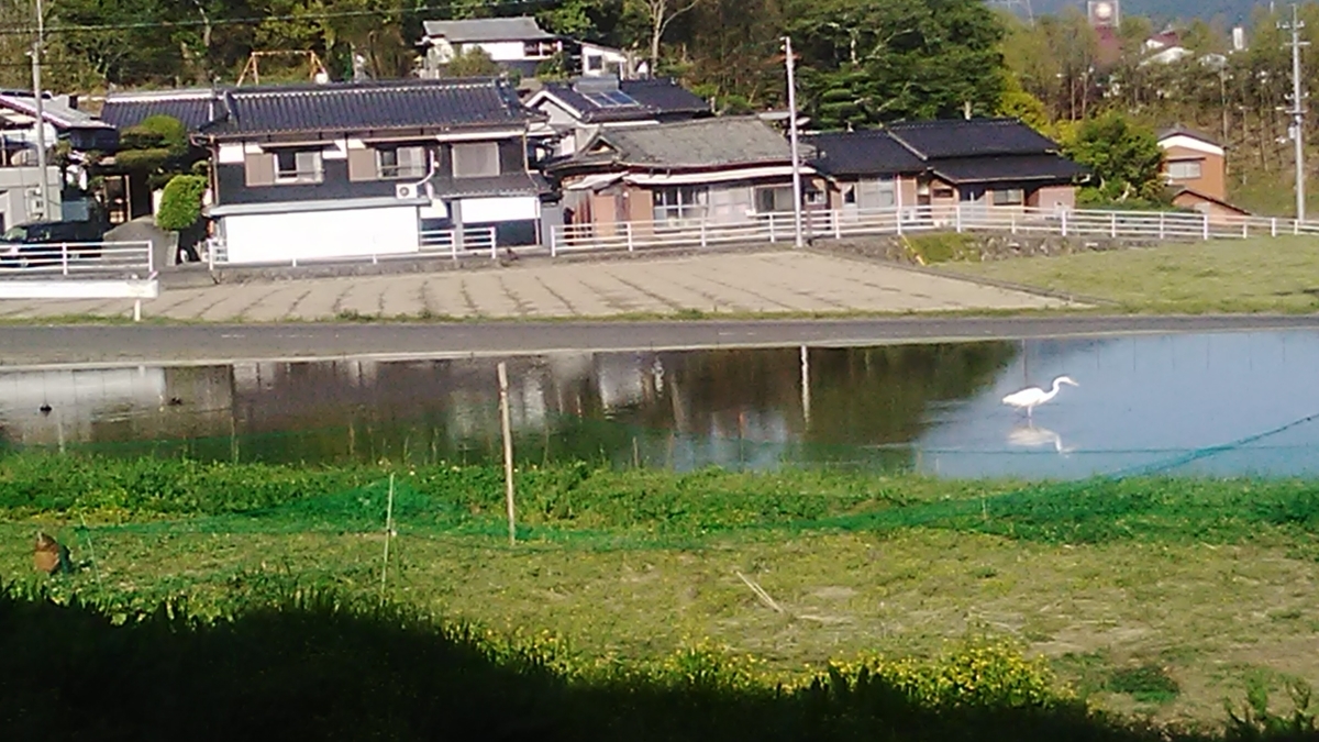 f:id:himitunokobeya:20210421083609j:plain