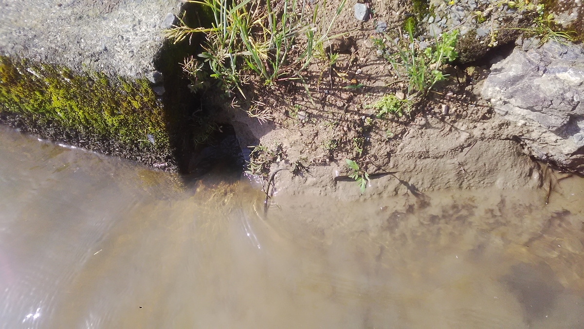 f:id:himitunokobeya:20210501081033j:plain