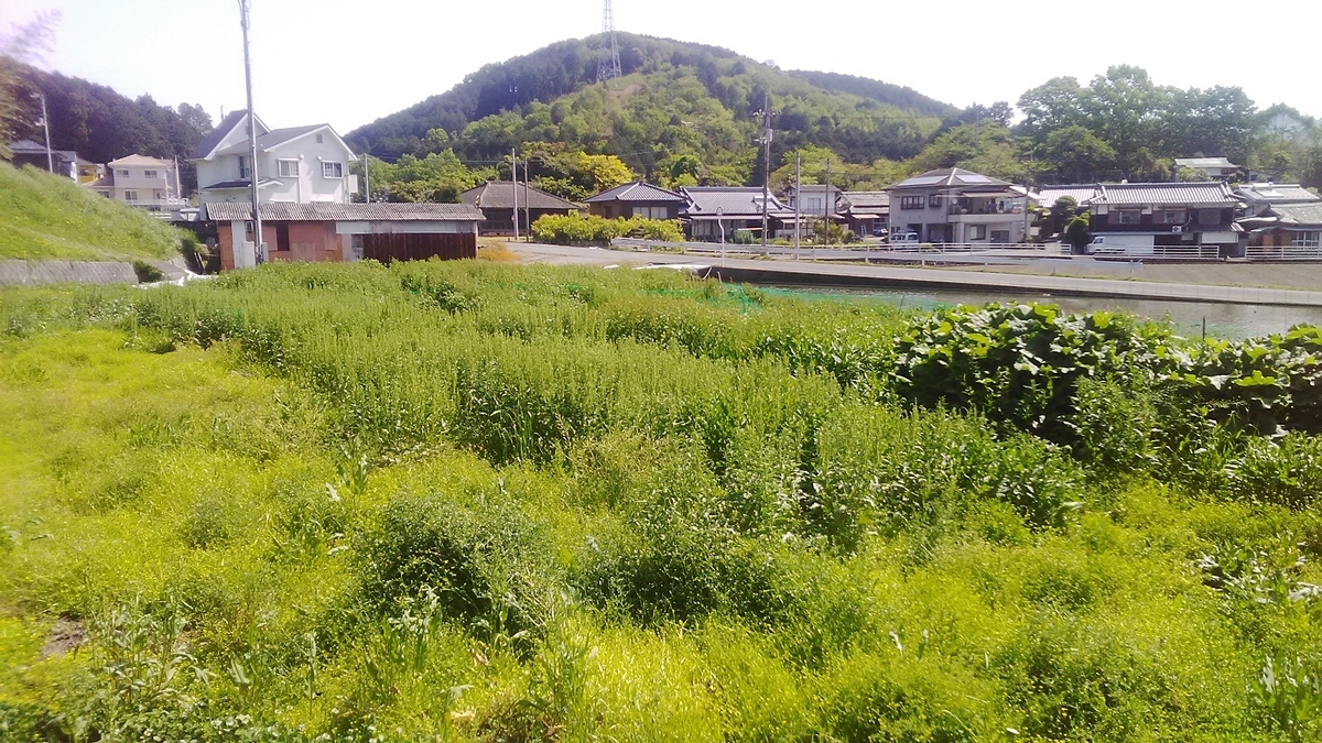 f:id:himitunokobeya:20210501081902j:plain