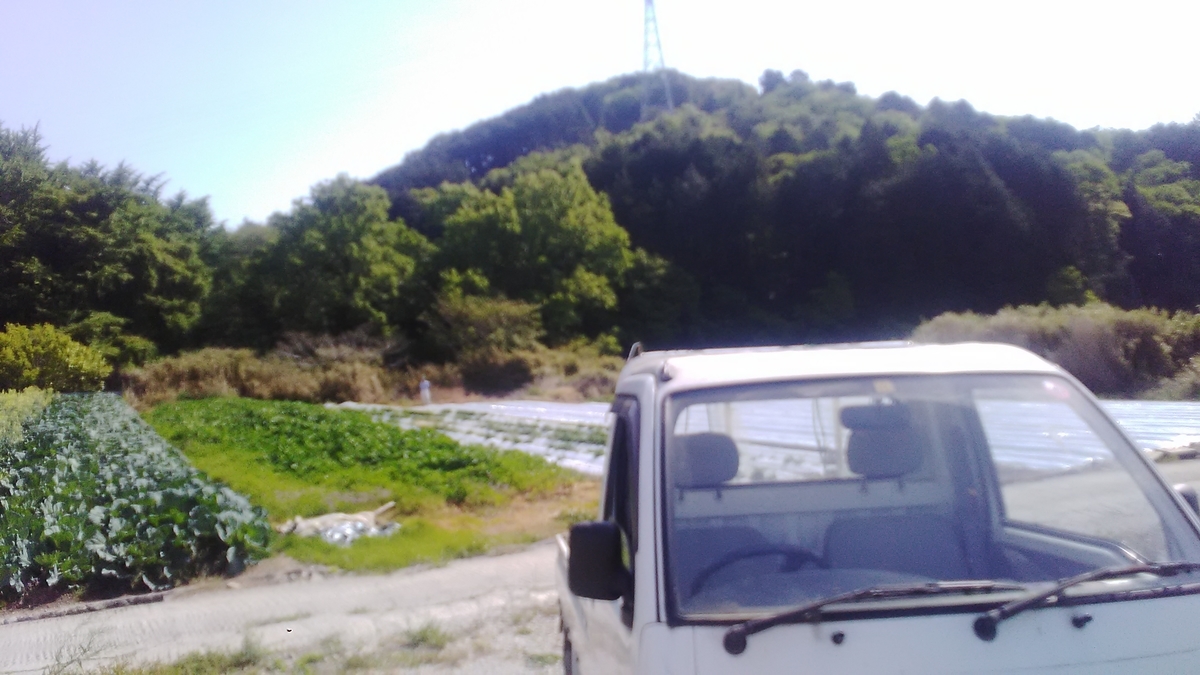 f:id:himitunokobeya:20210505081815j:plain