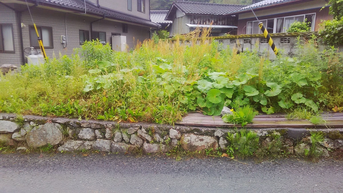 f:id:himitunokobeya:20210520090548j:plain