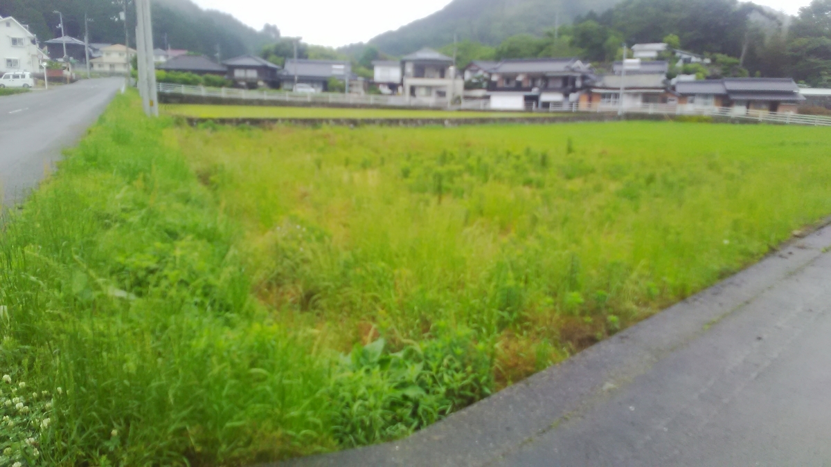 f:id:himitunokobeya:20210520091007j:plain