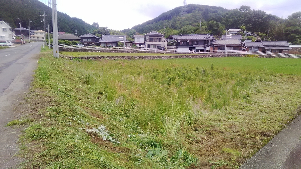 f:id:himitunokobeya:20210520091320j:plain