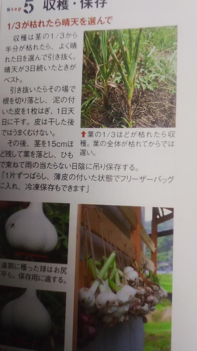 f:id:himitunokobeya:20210529084236j:plain