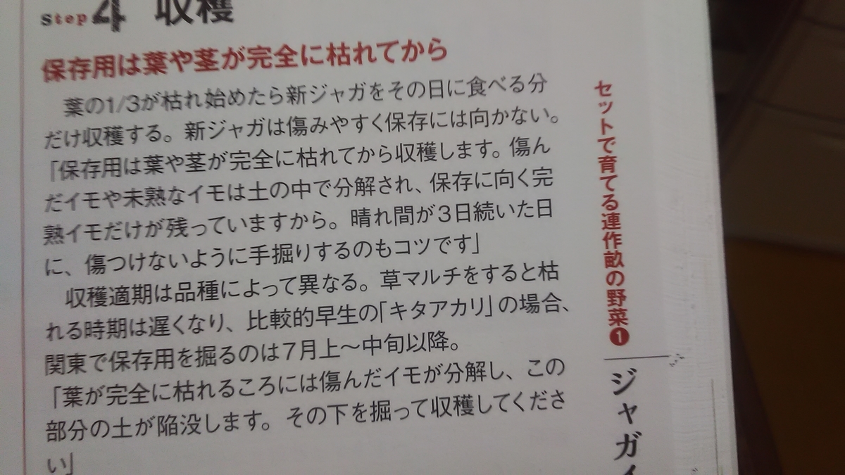 f:id:himitunokobeya:20210529084315j:plain
