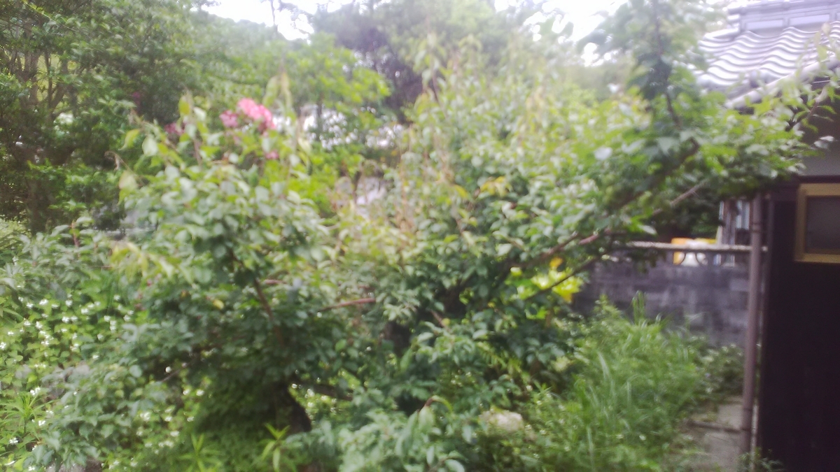 f:id:himitunokobeya:20210603083219j:plain