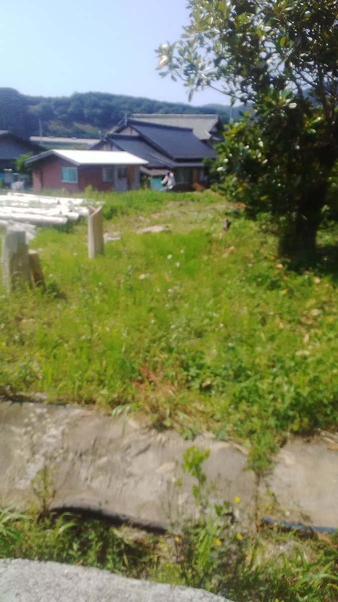 f:id:himitunokobeya:20210611072458j:plain