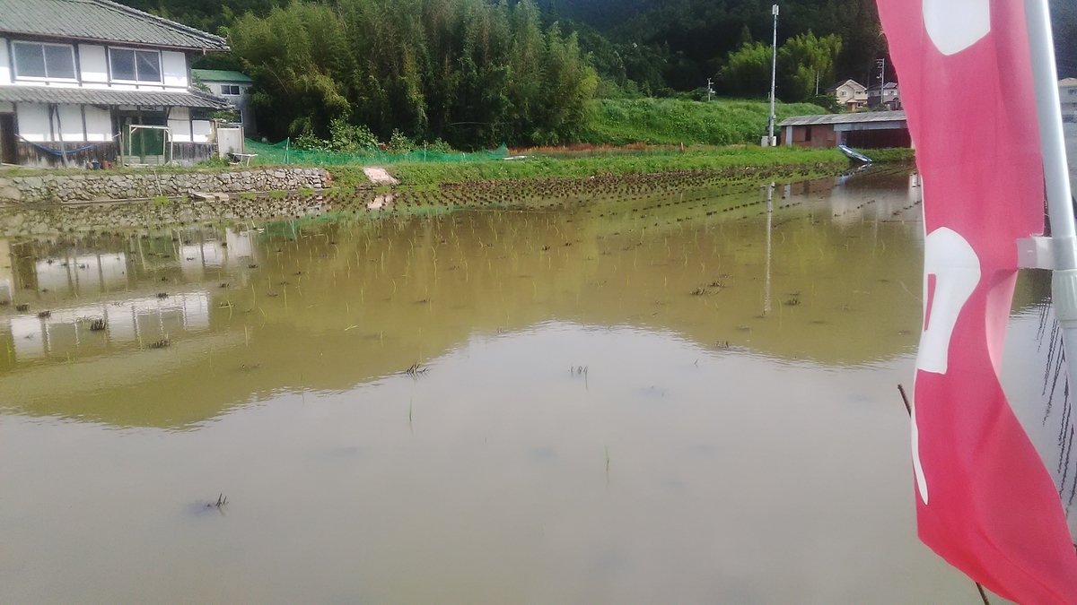 f:id:himitunokobeya:20210616063242j:plain