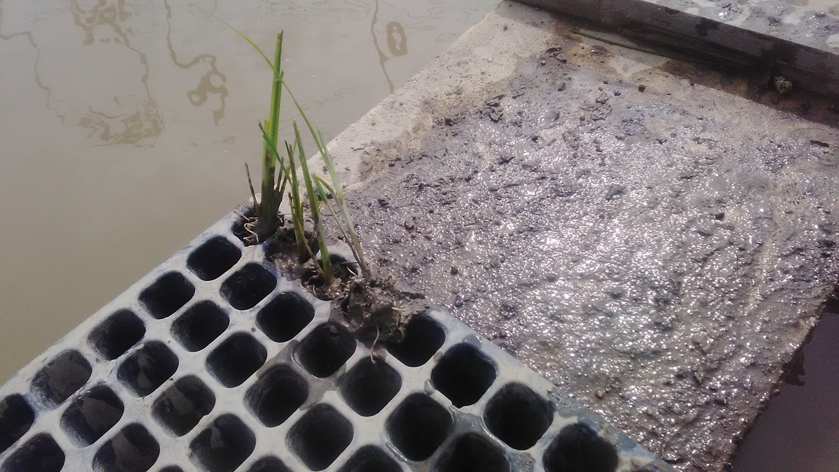 f:id:himitunokobeya:20210616063603j:plain