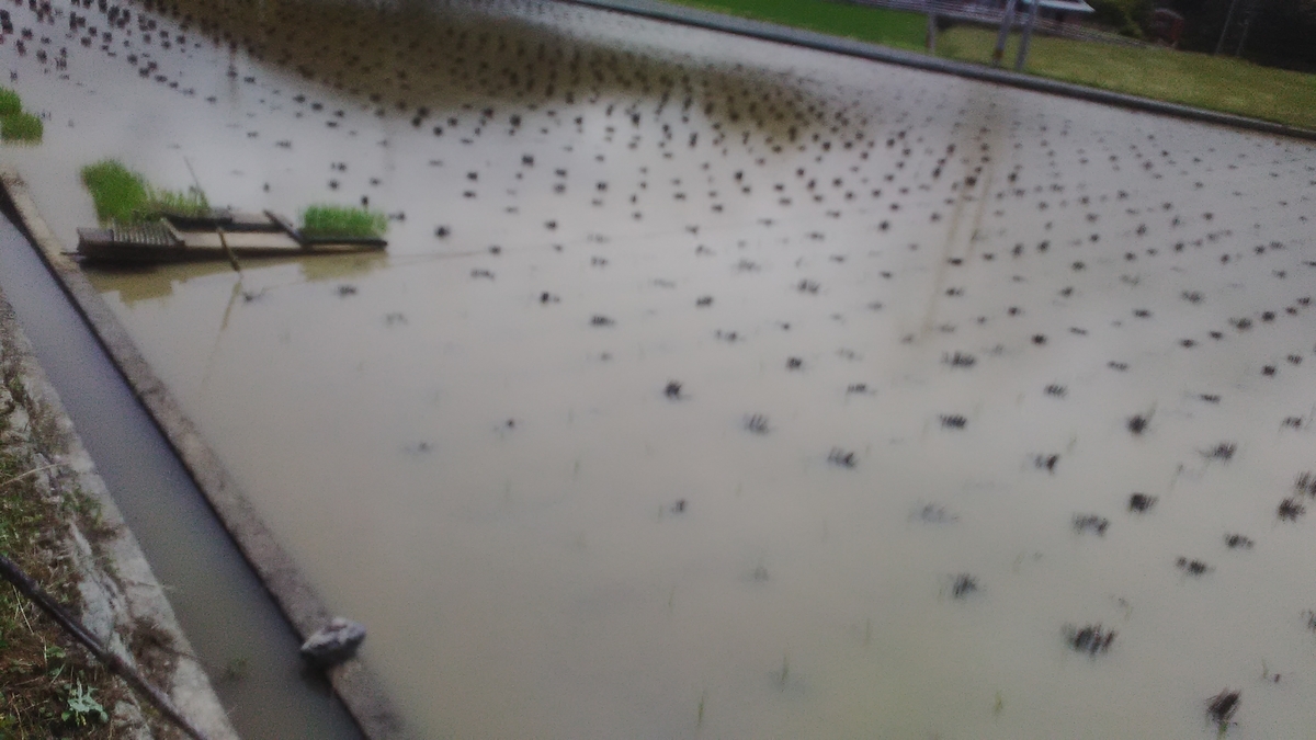 f:id:himitunokobeya:20210616063723j:plain