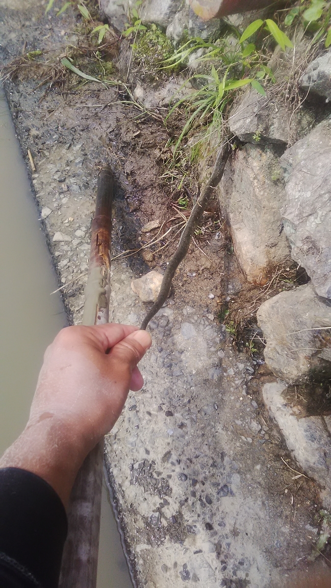 f:id:himitunokobeya:20210616063957j:plain