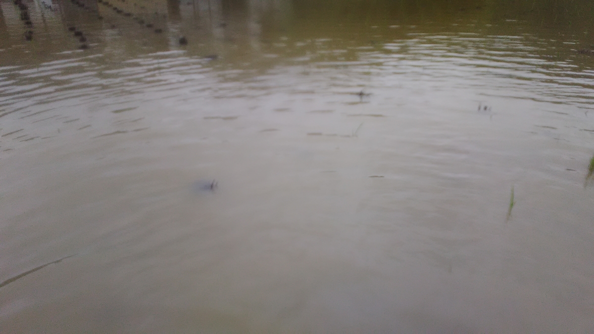 f:id:himitunokobeya:20210616064210j:plain