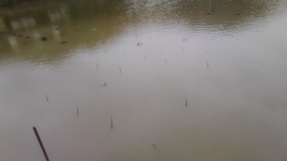 f:id:himitunokobeya:20210616064548j:plain