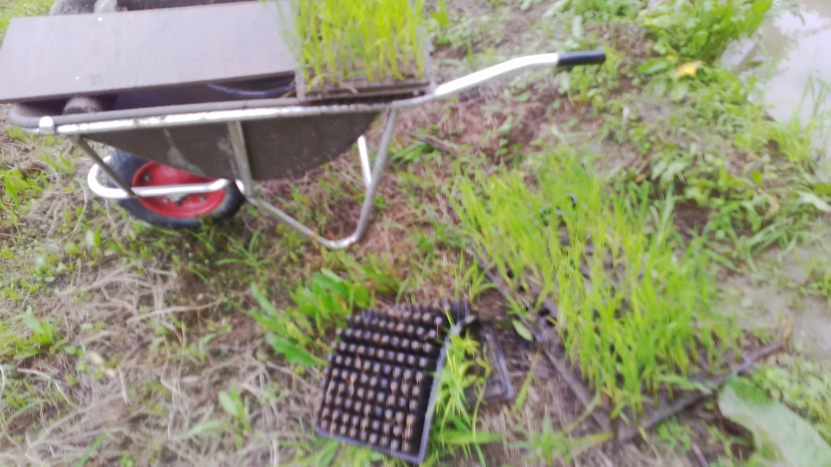 f:id:himitunokobeya:20210616065128j:plain