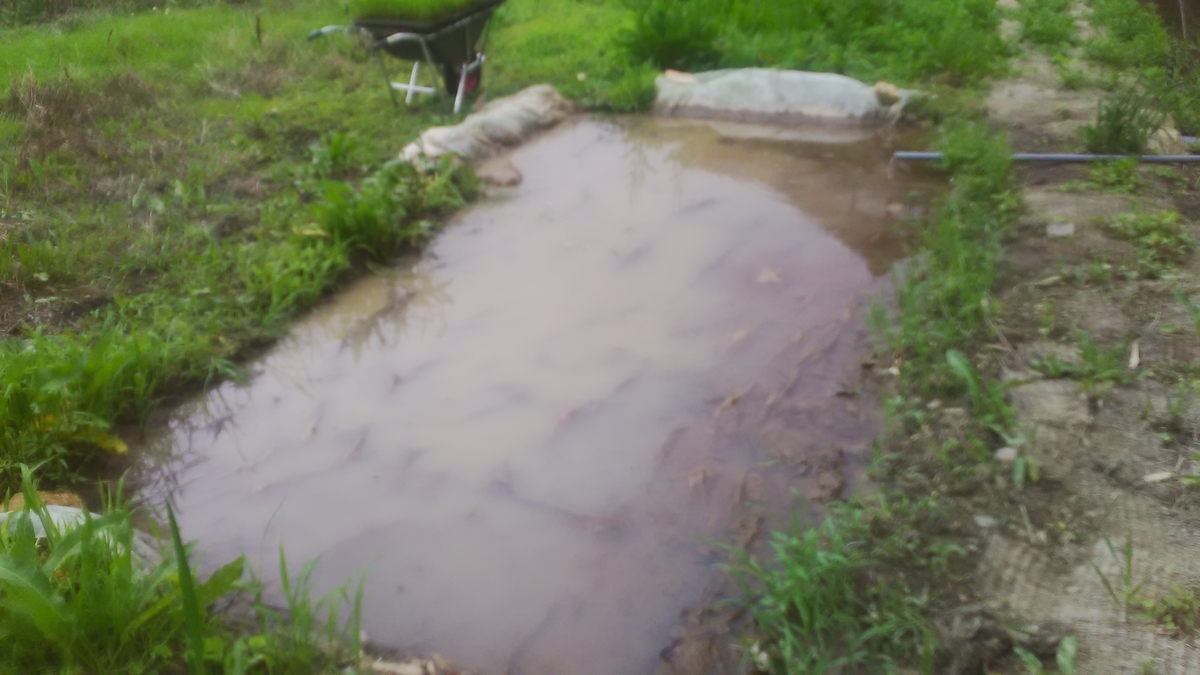 f:id:himitunokobeya:20210616065240j:plain