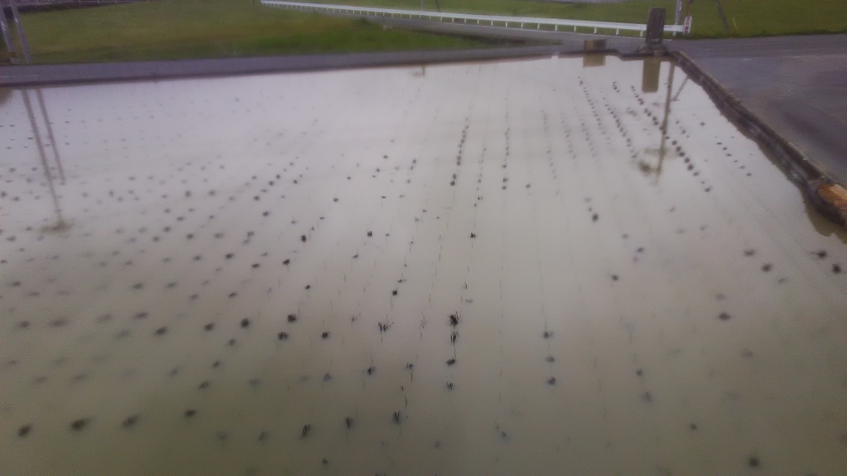 f:id:himitunokobeya:20210616065500j:plain