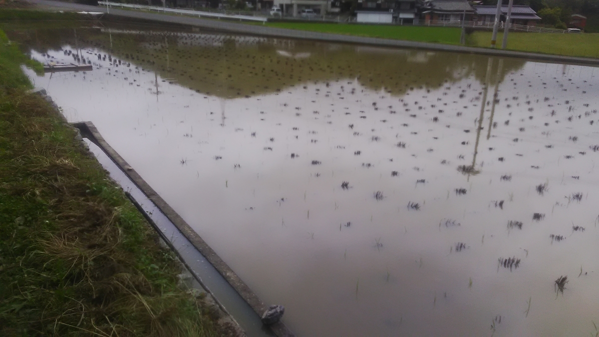 f:id:himitunokobeya:20210616065534j:plain