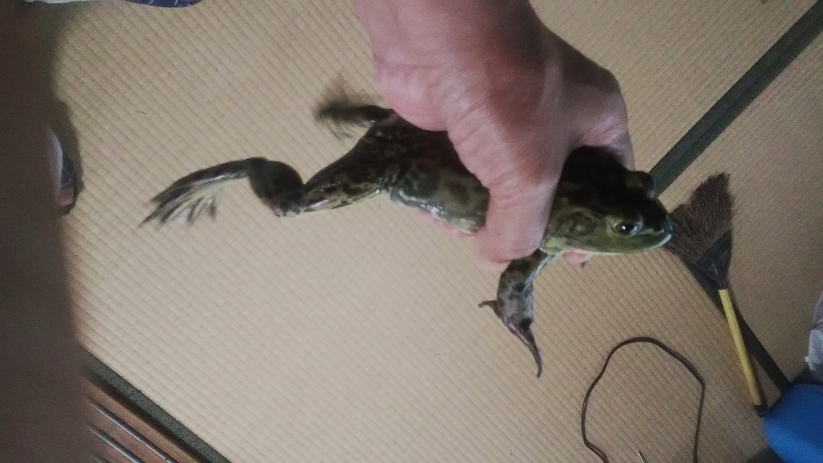 f:id:himitunokobeya:20210625083010j:plain