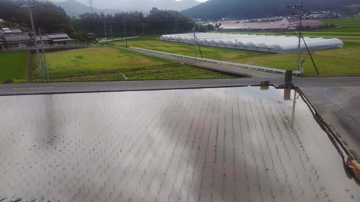 f:id:himitunokobeya:20210630074935j:plain