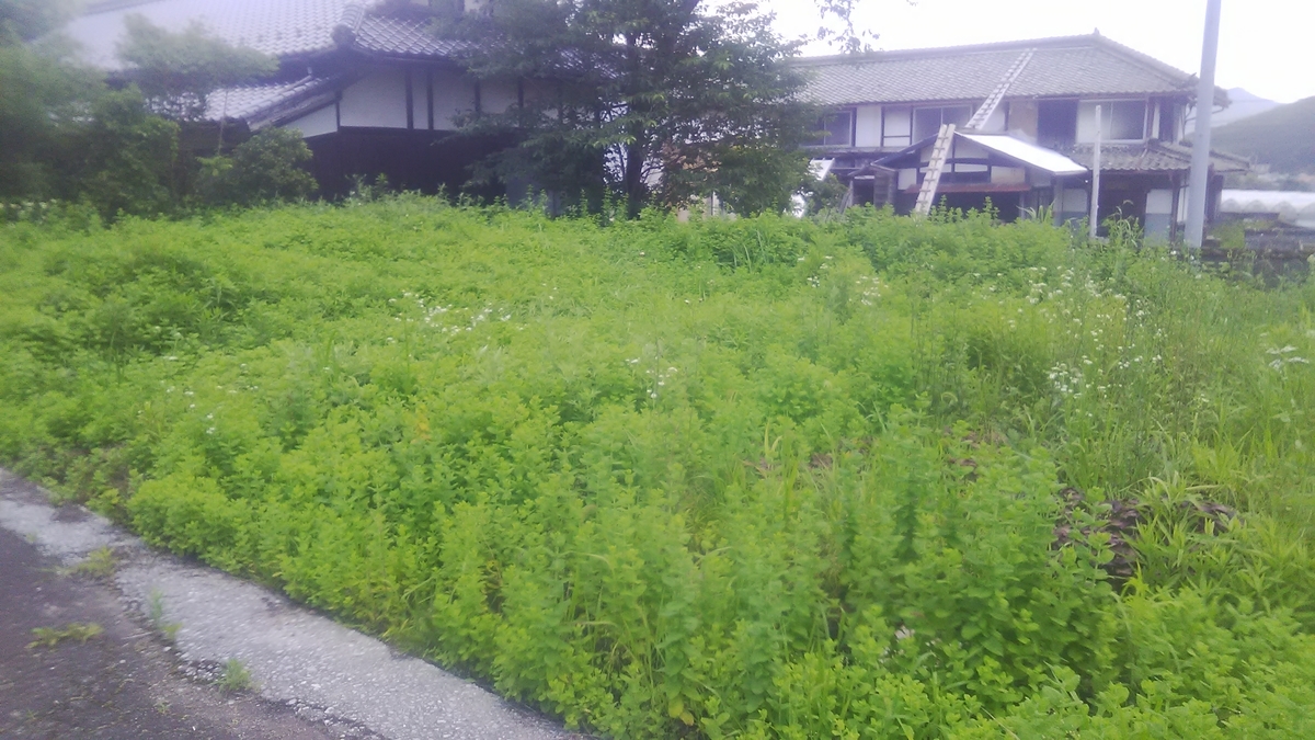 f:id:himitunokobeya:20210630075410j:plain