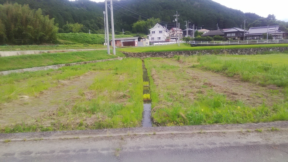 f:id:himitunokobeya:20210708071203j:plain